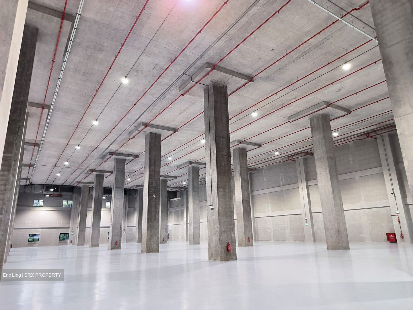 Toh Guan Road East (D22), Warehouse #535828541